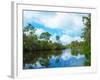 Reflection of trees and clouds in South Creek, Oscar Scherer State Park, Nokomis, Sarasota Count...-null-Framed Photographic Print