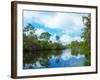 Reflection of trees and clouds in South Creek, Oscar Scherer State Park, Nokomis, Sarasota Count...-null-Framed Photographic Print