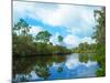 Reflection of trees and clouds in South Creek, Oscar Scherer State Park, Nokomis, Sarasota Count...-null-Mounted Photographic Print