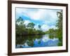 Reflection of trees and clouds in South Creek, Oscar Scherer State Park, Nokomis, Sarasota Count...-null-Framed Photographic Print