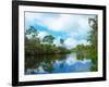 Reflection of trees and clouds in South Creek, Oscar Scherer State Park, Nokomis, Sarasota Count...-null-Framed Photographic Print