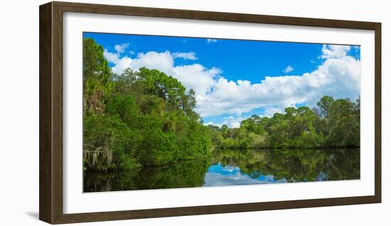 Reflection of trees and clouds in South Creek, Oscar Scherer State Park, Nokomis, Sarasota Count...-null-Framed Photographic Print
