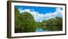 Reflection of trees and clouds in South Creek, Oscar Scherer State Park, Nokomis, Sarasota Count...-null-Framed Photographic Print