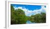 Reflection of trees and clouds in South Creek, Oscar Scherer State Park, Nokomis, Sarasota Count...-null-Framed Photographic Print