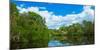 Reflection of trees and clouds in South Creek, Oscar Scherer State Park, Nokomis, Sarasota Count...-null-Mounted Photographic Print