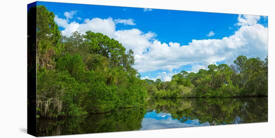 Reflection of trees and clouds in South Creek, Oscar Scherer State Park, Nokomis, Sarasota Count...-null-Stretched Canvas
