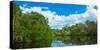 Reflection of trees and clouds in South Creek, Oscar Scherer State Park, Nokomis, Sarasota Count...-null-Stretched Canvas