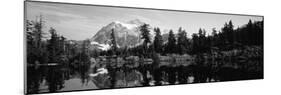 Reflection of Trees and Mountains in a Lake, Mount Shuksan, North Cascades National Park-null-Mounted Photographic Print