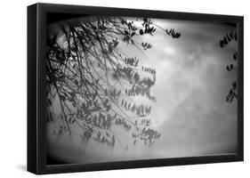 Reflection of Trees B/W-null-Framed Poster