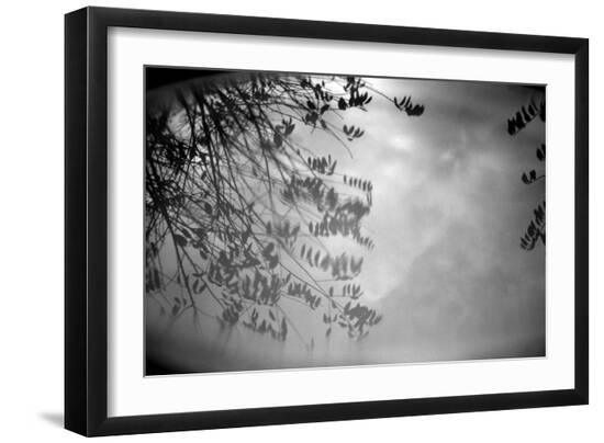 Photo, , large