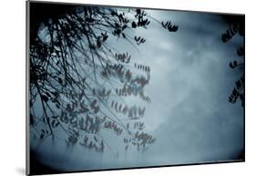 Reflection of Trees Colorful-null-Mounted Poster