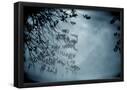 Essential Black