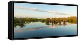 Reflection of Trees in a Lake, Anhinga Trail, Everglades National Park, Florida, USA-null-Framed Stretched Canvas