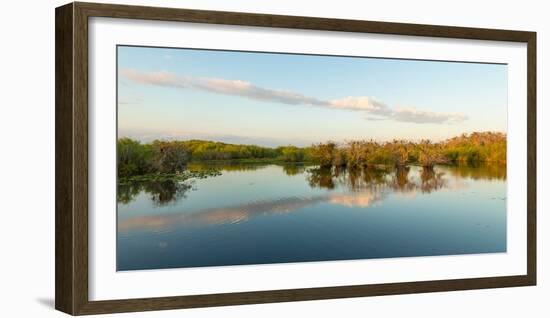 Reflection of Trees in a Lake, Anhinga Trail, Everglades National Park, Florida, USA-null-Framed Photographic Print