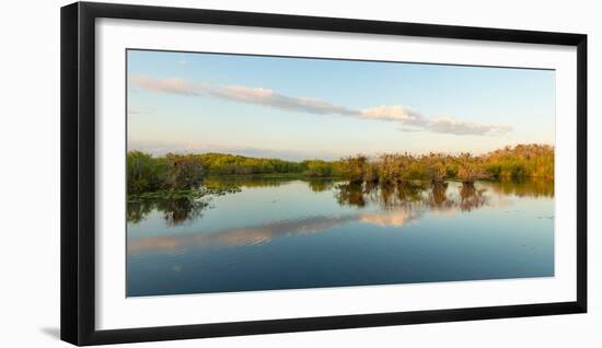 Reflection of Trees in a Lake, Anhinga Trail, Everglades National Park, Florida, USA-null-Framed Photographic Print