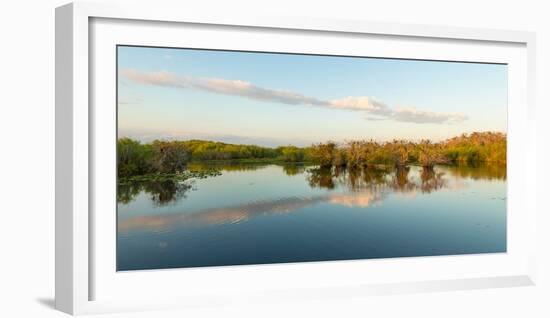 Reflection of Trees in a Lake, Anhinga Trail, Everglades National Park, Florida, USA-null-Framed Photographic Print