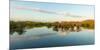 Reflection of Trees in a Lake, Anhinga Trail, Everglades National Park, Florida, USA-null-Mounted Photographic Print