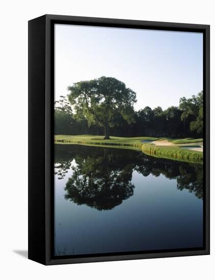 Reflection of Trees in a Lake, Kiawah Island Golf Resort, Kiawah Island, Charleston County-null-Framed Stretched Canvas