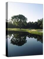 Reflection of Trees in a Lake, Kiawah Island Golf Resort, Kiawah Island, Charleston County-null-Stretched Canvas