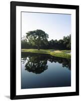 Reflection of Trees in a Lake, Kiawah Island Golf Resort, Kiawah Island, Charleston County-null-Framed Photographic Print