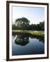 Reflection of Trees in a Lake, Kiawah Island Golf Resort, Kiawah Island, Charleston County-null-Framed Photographic Print