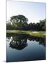 Reflection of Trees in a Lake, Kiawah Island Golf Resort, Kiawah Island, Charleston County-null-Mounted Photographic Print