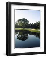 Reflection of Trees in a Lake, Kiawah Island Golf Resort, Kiawah Island, Charleston County-null-Framed Premium Photographic Print