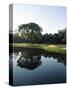 Reflection of Trees in a Lake, Kiawah Island Golf Resort, Kiawah Island, Charleston County-null-Stretched Canvas