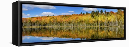 Reflection of Trees in a Lake, Pete's Lake, Schoolcraft County, Upper Peninsula, Michigan, USA-null-Framed Stretched Canvas