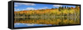 Reflection of Trees in a Lake, Pete's Lake, Schoolcraft County, Upper Peninsula, Michigan, USA-null-Framed Stretched Canvas