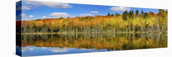 Reflection of Trees in a Lake, Pete's Lake, Schoolcraft County, Upper Peninsula, Michigan, USA-null-Stretched Canvas