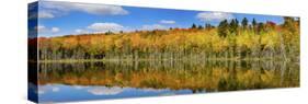 Reflection of Trees in a Lake, Pete's Lake, Schoolcraft County, Upper Peninsula, Michigan, USA-null-Stretched Canvas