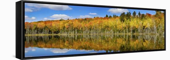 Reflection of Trees in a Lake, Pete's Lake, Schoolcraft County, Upper Peninsula, Michigan, USA-null-Framed Stretched Canvas
