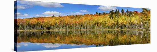 Reflection of Trees in a Lake, Pete's Lake, Schoolcraft County, Upper Peninsula, Michigan, USA-null-Stretched Canvas