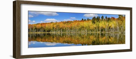 Reflection of Trees in a Lake, Pete's Lake, Schoolcraft County, Upper Peninsula, Michigan, USA-null-Framed Photographic Print