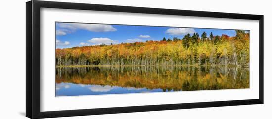 Reflection of Trees in a Lake, Pete's Lake, Schoolcraft County, Upper Peninsula, Michigan, USA-null-Framed Photographic Print