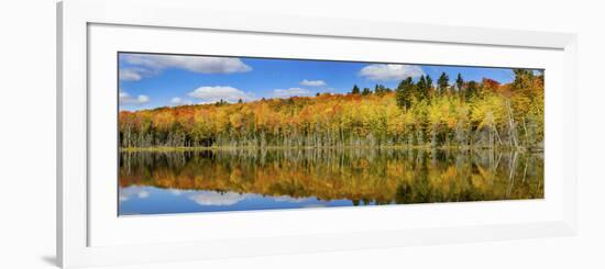 Reflection of Trees in a Lake, Pete's Lake, Schoolcraft County, Upper Peninsula, Michigan, USA-null-Framed Photographic Print