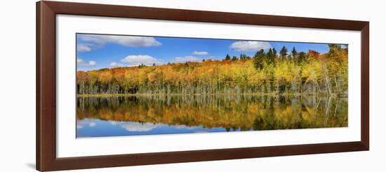 Reflection of Trees in a Lake, Pete's Lake, Schoolcraft County, Upper Peninsula, Michigan, USA-null-Framed Photographic Print