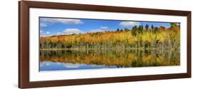 Reflection of Trees in a Lake, Pete's Lake, Schoolcraft County, Upper Peninsula, Michigan, USA-null-Framed Photographic Print