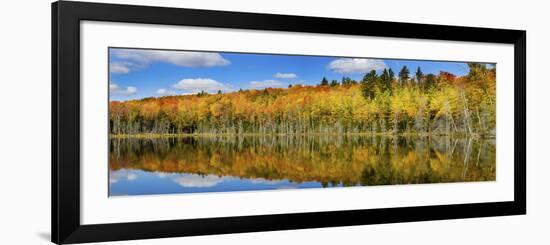 Reflection of Trees in a Lake, Pete's Lake, Schoolcraft County, Upper Peninsula, Michigan, USA-null-Framed Photographic Print