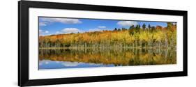 Reflection of Trees in a Lake, Pete's Lake, Schoolcraft County, Upper Peninsula, Michigan, USA-null-Framed Photographic Print