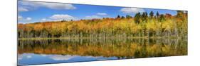 Reflection of Trees in a Lake, Pete's Lake, Schoolcraft County, Upper Peninsula, Michigan, USA-null-Mounted Photographic Print