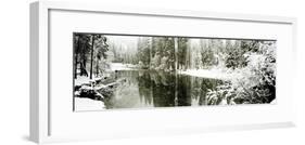Reflection of trees in a river, Merced River, Yosemite Valley, Yosemite National Park, Mariposa...-Panoramic Images-Framed Photographic Print