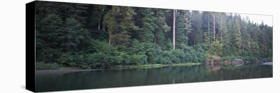 Reflection of Trees in a River, Smith River, Jedediah Smith Redwoods State Park, California, USA-null-Stretched Canvas