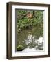 Reflection of Trees in Pond at Ginkaku-Ji Temple, Kyoti Prefecture, Japan-null-Framed Photographic Print