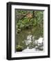 Reflection of Trees in Pond at Ginkaku-Ji Temple, Kyoti Prefecture, Japan-null-Framed Photographic Print