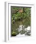 Reflection of Trees in Pond at Ginkaku-Ji Temple, Kyoti Prefecture, Japan-null-Framed Photographic Print