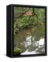 Reflection of Trees in Pond at Ginkaku-Ji Temple, Kyoti Prefecture, Japan-null-Framed Stretched Canvas