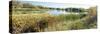 Reflection of Trees in Water, Odana Hills Golf Course, Madison, Dane County, Wisconsin, USA-null-Stretched Canvas