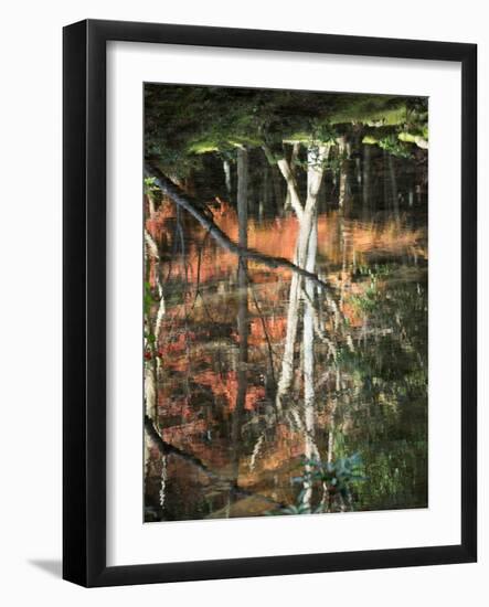 Reflection of Trees in Water, Saihoji Temple, Kyoti Prefecture, Japan-null-Framed Photographic Print